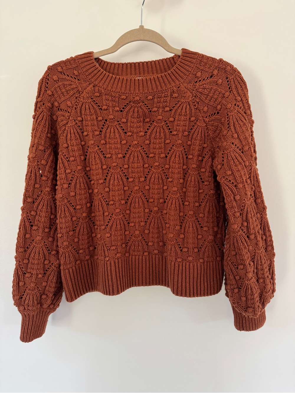 Rust Knit Sweater From Francesca's